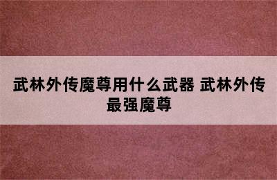 武林外传魔尊用什么武器 武林外传最强魔尊